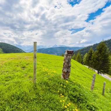 Mera karla kaplı tepeler arka plan üzerinde Avusturya Alpleri'nde dikenli tel çit.