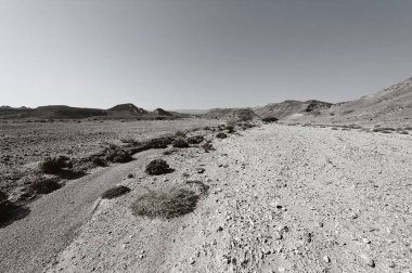 İsrail 'deki Negev Çölü' nün kayalık tepelerinde yalnızlık ve boşluk. Ortadoğu 'nun nefes kesici manzarası ve doğası. Siyah beyaz fotoğraf