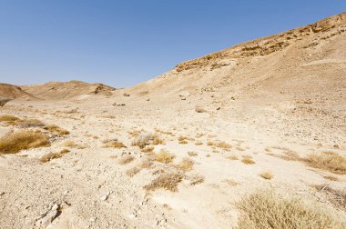 İsrail 'deki Negev Çölü' nün kayalık tepelerinin melankolik ve boşluğu. Ortadoğu 'nun nefes kesici manzarası ve doğası.
