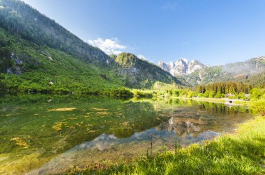 Avusturyalı yatay, ormanlar, çayırlar, alanları ve göl Gosausee Alps arka plan üzerinde çevreleyen otlak