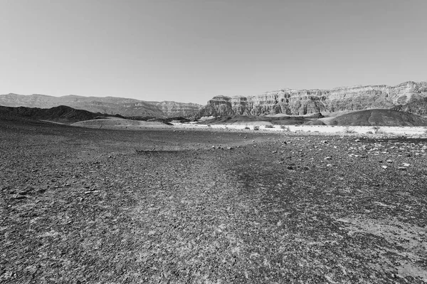 Srail Deki Negev Çölü Nün Kayalık Tepelerinde Yalnızlık Boşluk Ortadoğu — Stok fotoğraf