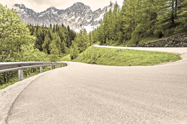 Sinuoso Camino Asfalto Paisaje Austriaco Con Bosques Campos Pastos Prados — Foto de Stock