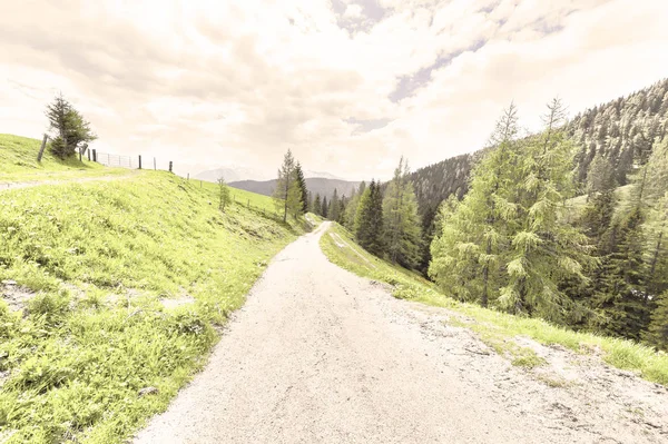 Kurvenreicher Feldweg Österreichischer Landschaft Mit Wäldern Feldern Weiden Und Wiesen — Stockfoto