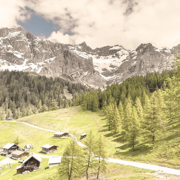 Rakouská Vesnice Obklopené Lesy Louky Pole Pastviny Pozadí Zasněžené Vrcholky — Stock fotografie