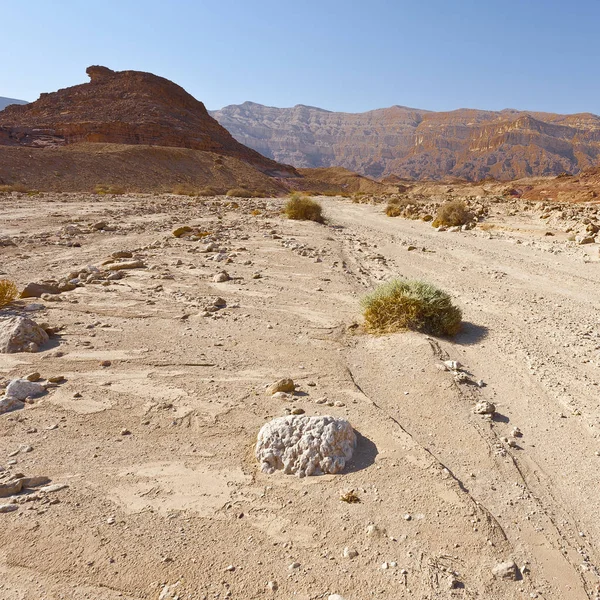 Infinite Fantasy Rocky Hills Negev Desert Israel Breathtaking Landscape Nature — Stock Photo, Image