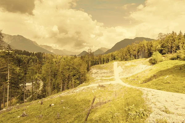 Austriacki Krajobraz Lasów Łąk Tle Ośnieżonych Alp Wcześnie Rano Rolnictwo — Zdjęcie stockowe