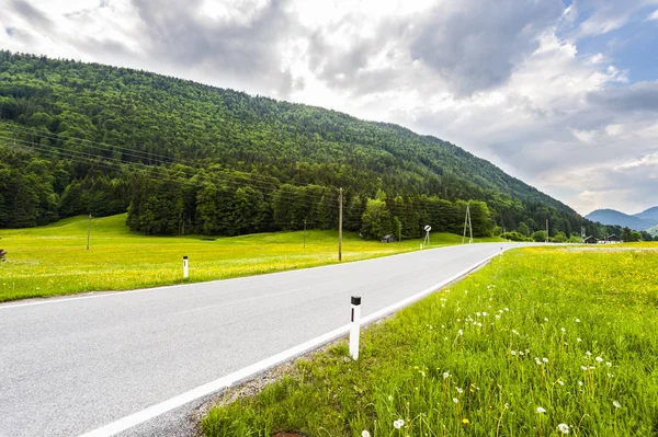 Asphalt road in austrian landscape with forests, fields, pastures and meadows on the background of snow-capped Alps
