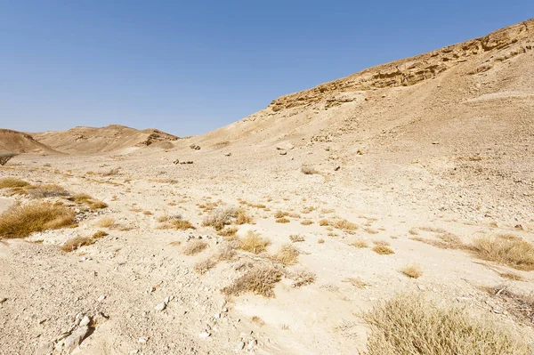 Melancholy Emptiness Rocky Hills Negev Desert Israel Breathtaking Landscape Nature — Stock Photo, Image