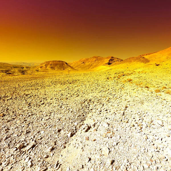Красочные Скалистые Холмы Пустыни Негев Израиле Захватывающий Дух Пейзаж Природа — стоковое фото