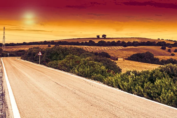 Asphaltierte Straße Zwischen Feldern Spanien Nach Der Ernte Bei Sonnenaufgang — Stockfoto