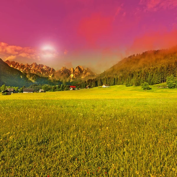 Austrian Landscape Forests Meadows Background Snow Capped Alps Sunset Agriculture — Stock Photo, Image