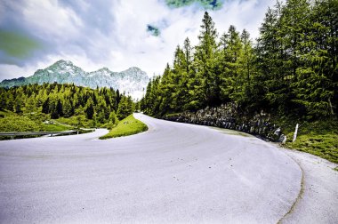Ormanlar, alanları, otlaklar ve çayırlar Avusturyalı peyzaj asfalt yol. Vintage tarzı 