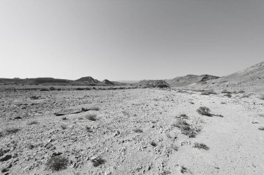 İsrail 'deki Negev Çölü' nün kayalık tepelerinde yalnızlık ve boşluk. Ortadoğu 'nun nefes kesici manzarası ve doğası. Siyah beyaz fotoğraf
