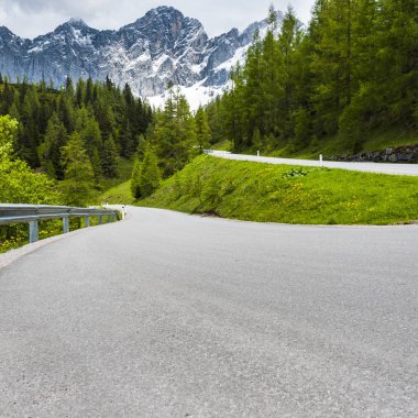 Avusturya 'da, ormanlar, tarlalar, otlaklar ve çayırlarla çevrili asfalt yol
