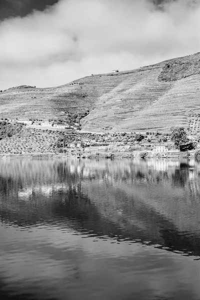 Voyagez Dans Région Fleuve Douro Portugal Parmi Les Vignobles Les — Photo