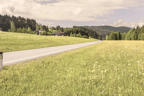 Asfaltweg Oostenrijks Landschap Met Bossen Velden Weiden Weilanden Vintage Stijl — Stockfoto