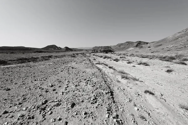 Solitudine Vuoto Delle Colline Rocciose Del Deserto Del Negev Israele — Foto Stock