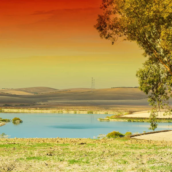 Vijver Voor Irrigatie Tussen Stoppels Velden Spanje Oogst Bij Zonsopgang — Stockfoto