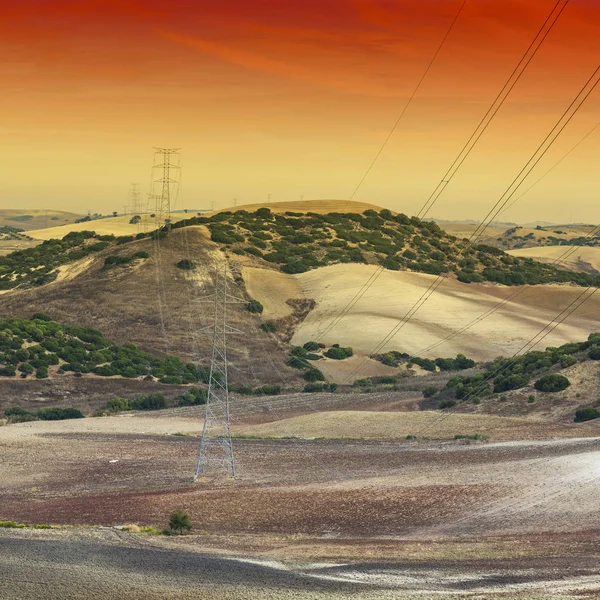 Olijfgaard Velden Spanje Oogst Bij Zonsopgang Elektrische Hoogspanningslijnen Pylonen Het — Stockfoto