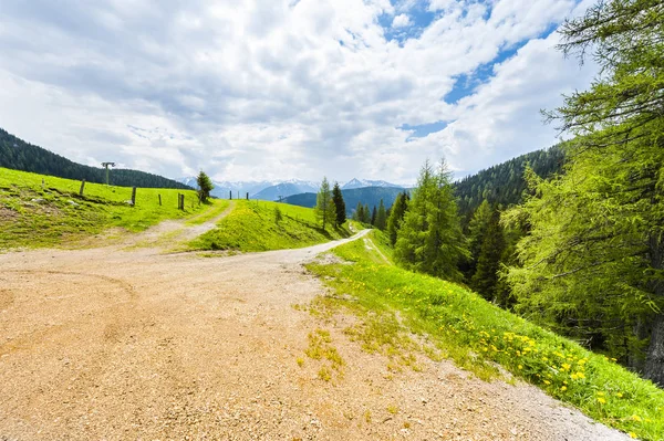 Kurvenreicher Feldweg Österreichischer Landschaft Mit Wäldern Feldern Weiden Und Wiesen — Stockfoto