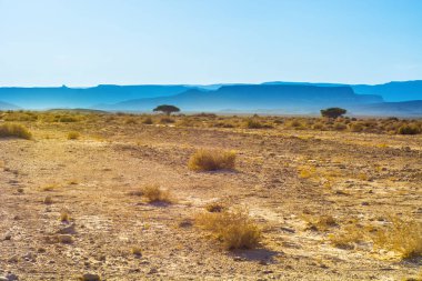 İsrail 'deki Negev Çölü' nün Rocky tepeleri. Güney İsrail 'deki kaya oluşumlarının nefes kesici manzarası. Tozlu dağlar wadiler ve derin kraterler tarafından kesildi..