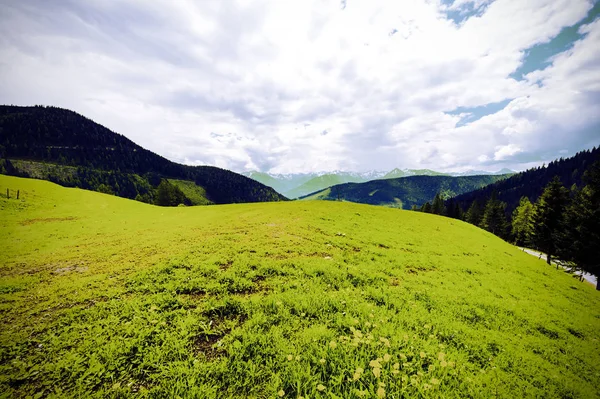 Austrian landscape with forests, fields, pastures and meadows on the background of snow-capped Alps. Vintage style