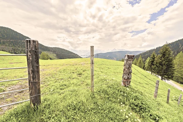 Pastos Cercados Con Alambre Púas Los Alpes Austríacos Fondo Picos — Foto de Stock