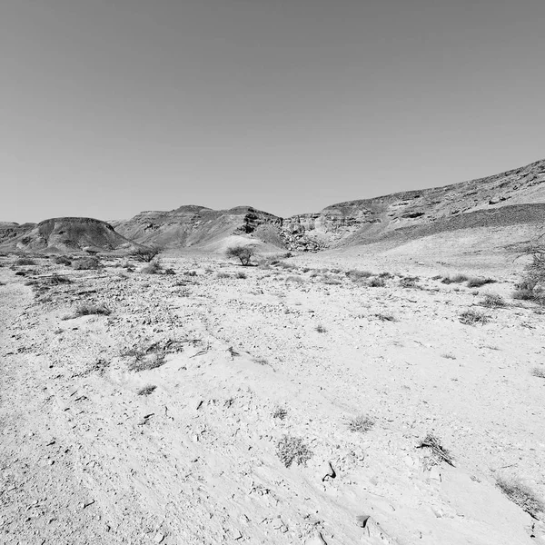 Soledad Vacío Las Colinas Rocosas Del Desierto Del Neguev Israel — Foto de Stock