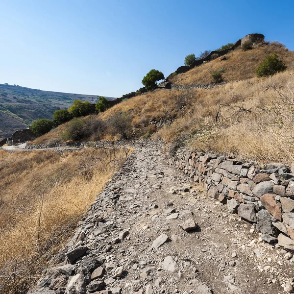 Gamla Rezerwat Przyrody Położony Wzgórzach Golan Izraelu Widok Archeologicznych Jezioro — Zdjęcie stockowe