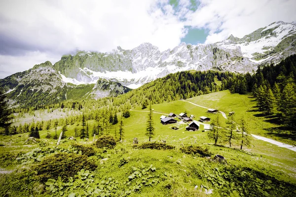 Avusturyalı Köyü Ormanlar Çayırlar Çevrili Alanlar Karla Kaplı Alps Arka — Stok fotoğraf