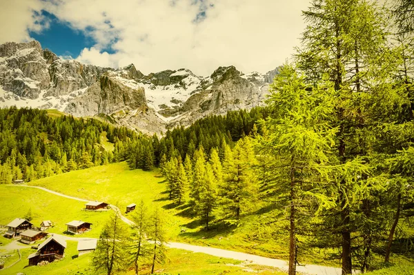 Aldeia Austríaca Cercada Por Florestas Prados Campos Pastagens Fundo Alpes — Fotografia de Stock