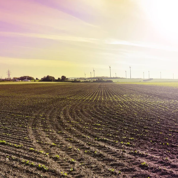 日の出でエネルギーを生産する近代的な風力タービンのオーストリアの風景で耕した畑 — ストック写真
