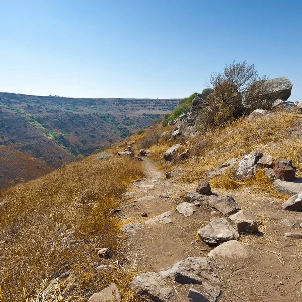 Reserva Natural Gamla Localizado Nas Colinas Golan Israel Vista Dos — Fotografia de Stock