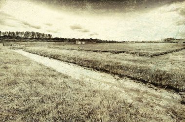 Hollanda 'da çiçek açan lale tarlaları. Drenaj kanalının yanındaki Hollanda bahar bahçesinde çeşitli çiçekler. Klasik stil tonlu resim