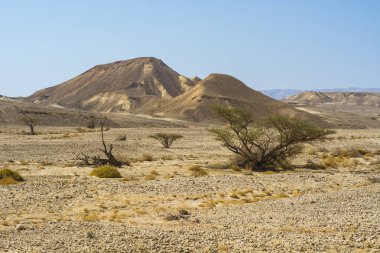 İsrail 'deki Negev Çölü' nün Rocky tepeleri. Güney İsrail 'deki kaya oluşumlarının nefes kesici manzarası. Tozlu dağlar wadiler ve derin kraterler tarafından kesildi..