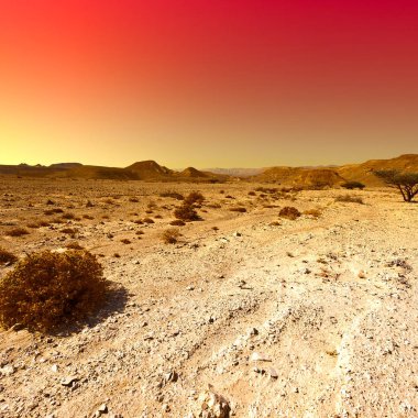 İsrail 'deki Negev Çölü' nün renkli kayalık tepeleri. Gün batımında Ortadoğu 'nun nefes kesici manzarası ve doğası