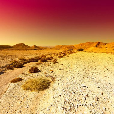 İsrail 'deki Negev Çölü' nün renkli kayalık tepeleri. Gün batımında Ortadoğu 'nun nefes kesici manzarası ve doğası