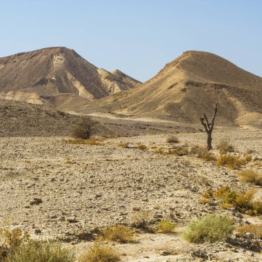 İsrail 'deki Negev Çölü' nün Rocky tepeleri. Güney İsrail 'deki kaya oluşumlarının nefes kesici manzarası. Tozlu dağlar wadiler ve derin kraterler tarafından kesildi..