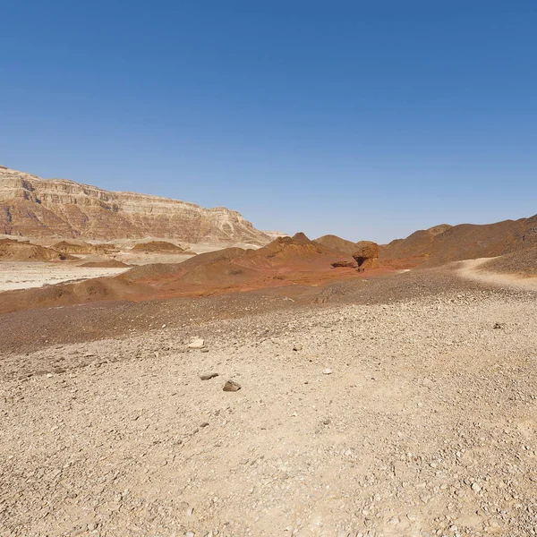 イスラエルのネゲヴ砂漠の岩の多い丘の孤独と空虚さ 中東の息をのむような風景と自然 — ストック写真