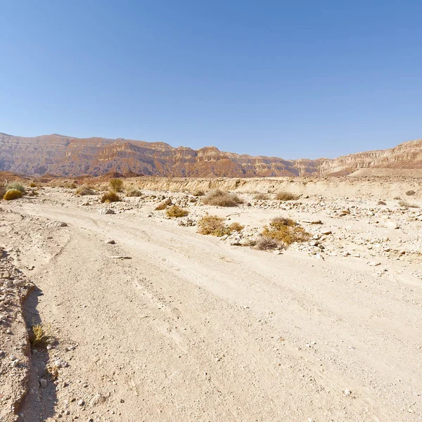 Soledad Vacío Las Colinas Rocosas Del Desierto Del Neguev Israel —  Fotos de Stock