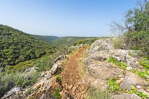Aard Van Het Westelijk Galilea Israël Met Bossen Rotsen Kloven — Stockfoto