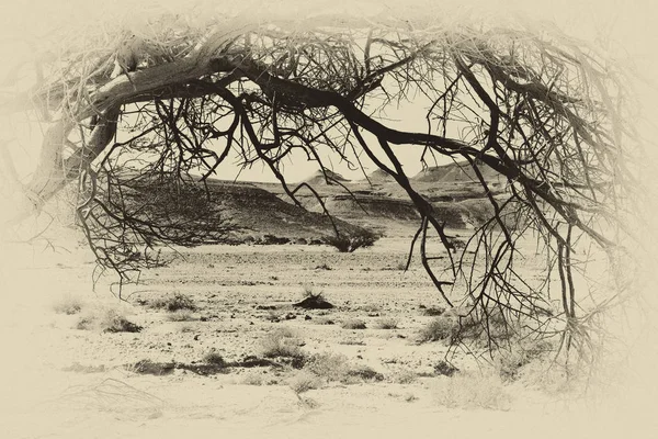 Life in a lifeless infinity of the Negev Desert in Israel. Breathtaking landscape and nature of the Middle East. Black and white photo