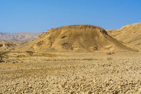 Colline Rocciose Del Deserto Del Negev Israele Paesaggio Mozzafiato Delle — Foto Stock