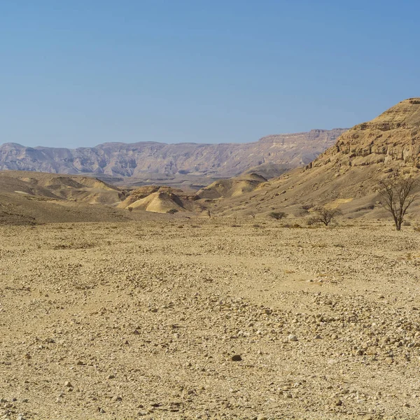 Srail Deki Negev Çölü Nün Rocky Tepeleri Güney Srail Deki — Stok fotoğraf