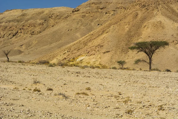 Rotsachtige Heuvels Van Negev Woestijn Israël Adembenemend Landschap Van Rotsformaties — Stockfoto