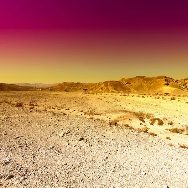Wütende Farben Der Felsigen Hügel Der Negev Wüste Israel Atemberaubende — Stockfoto