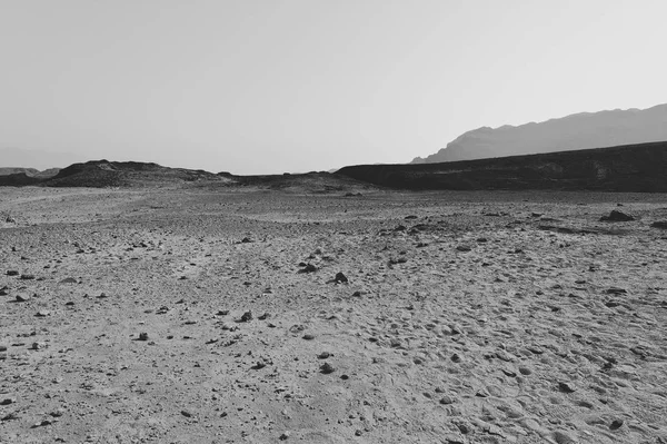 Loneliness Emptiness Rocky Hills Negev Desert Israel Breathtaking Landscape Nature — Stock Photo, Image