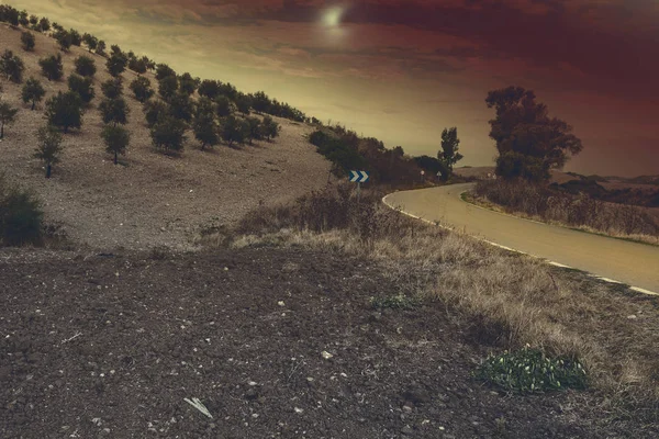 Olive Grove Spain Light Moon Breathtaking Landscape Nature Iberian Peninsula — Stock Photo, Image