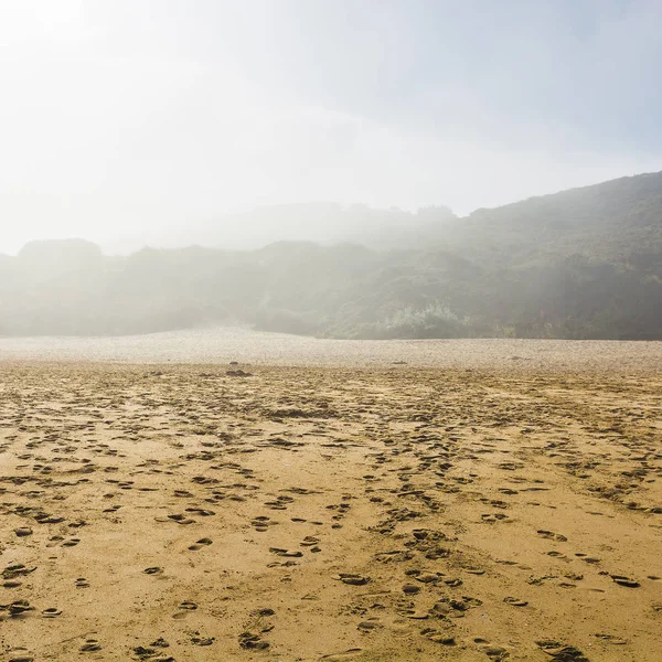 Plage Portugaise Océan Atlantique Dans Brume Matinale Lever Soleil Paysage — Photo