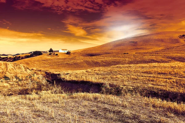 Fazenda Campo Após Colheita Nascer Sol Espanha Paisagem Tirar Fôlego — Fotografia de Stock